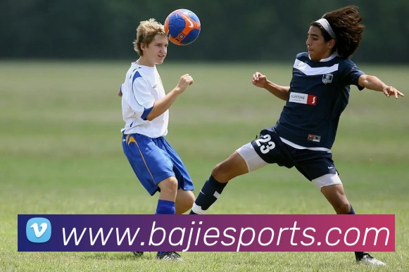 多媒体互动体验