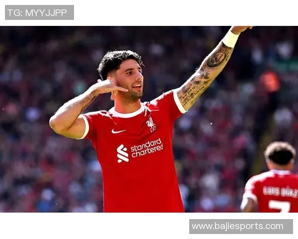 水晶宫冬窗计划引进博伊转会费预计达1300万英镑